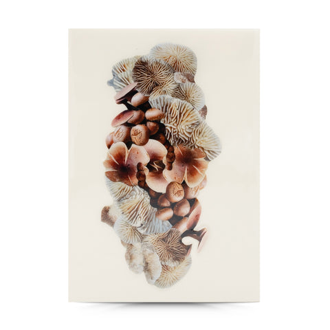 Coral (replica)-- 5x7 Resin Panel