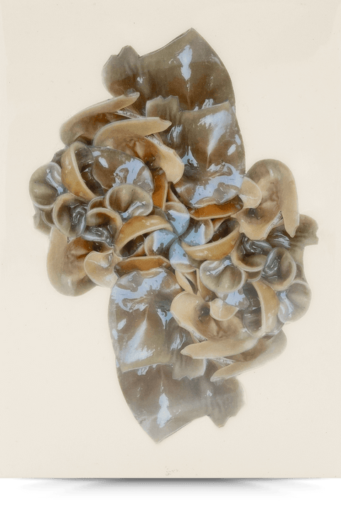 Glasslike (replica)—5x7 Resin Panel