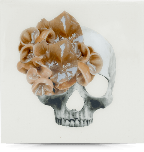 I Want Your Skull 3 (replica)— 6x6 Resin Panel