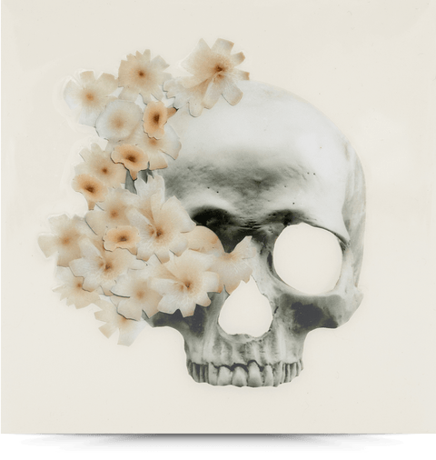 I Want Your Skull 2 (replica)—6x6 Resin Panel