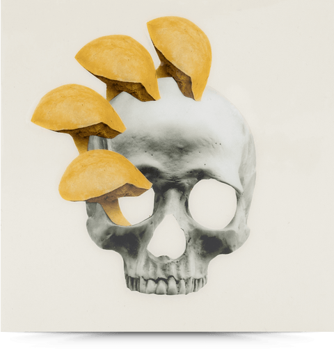 I Want Your Skull 1 (replica)—6x6 Resin Panel