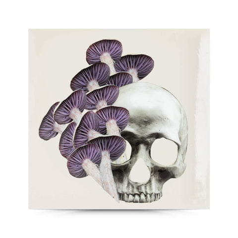 I Want Your Skull 4 (replica) —6x6 Resin Panel