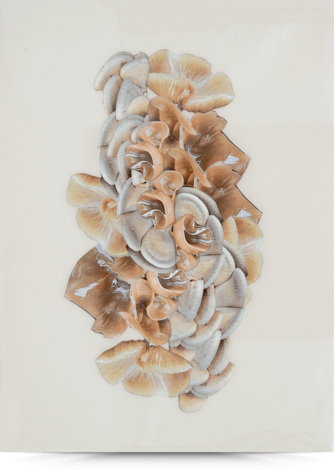 Glasslike Neutrals Original—11x15 Resin Panel