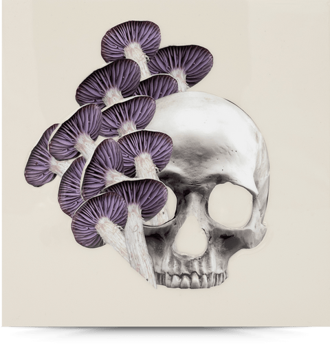 I Want Your Skull 4 Original—11x11 Resin Panel