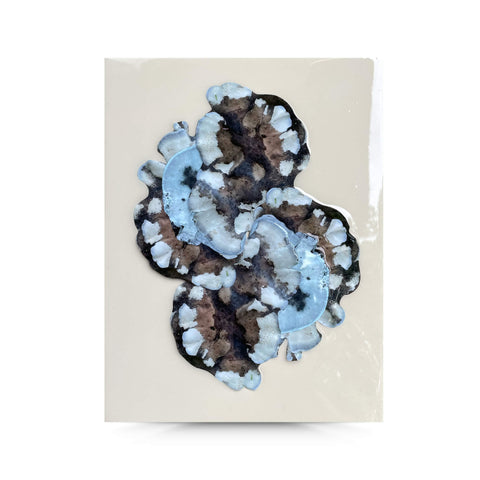 Chiaroscuro Fungi 8x10 Resin Panel