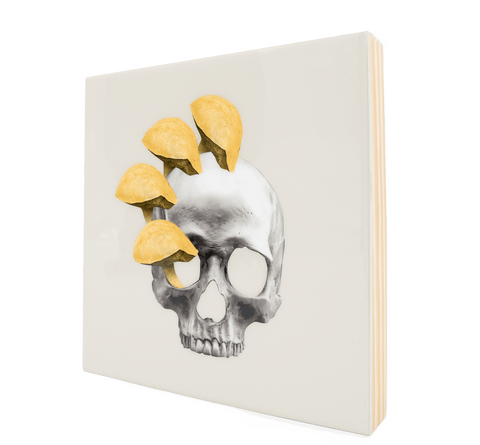 I Want Your Skull 1 (replica)—6x6 Resin Panel